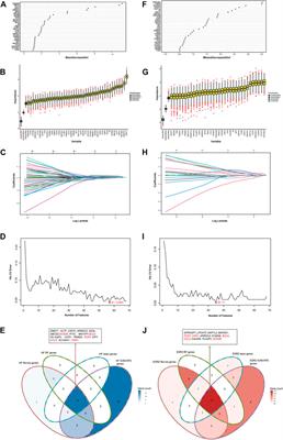 Uncovering the molecular mechanisms between heart failure and end-stage renal disease via a bioinformatics study